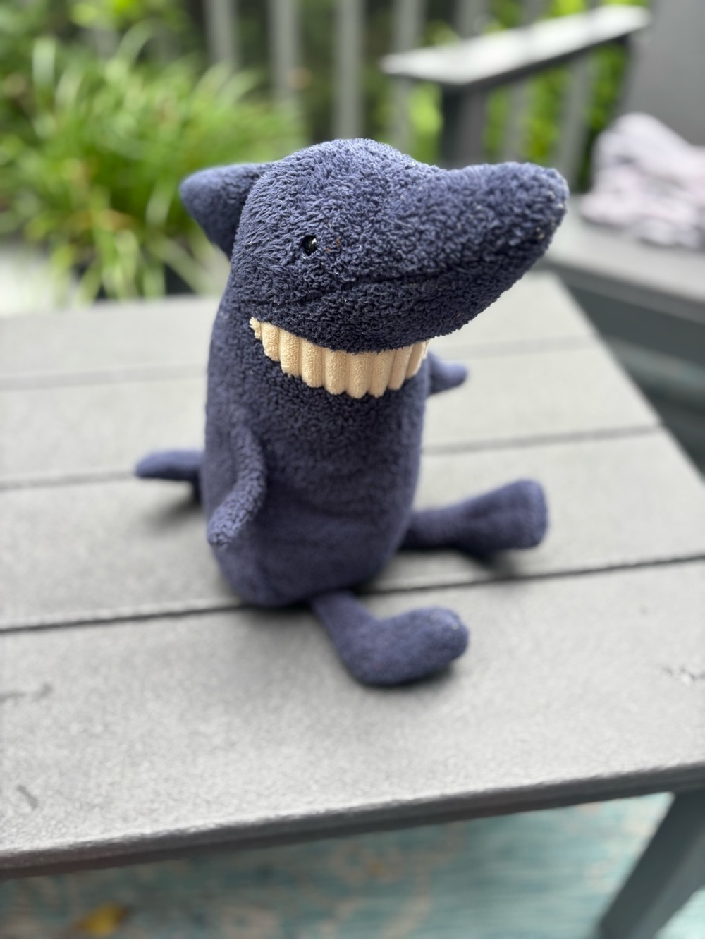 Navy blue jelly, cat shark